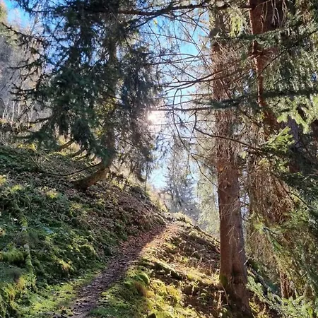 Daniela 10 * ラウリス