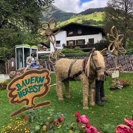 Daniela 10 Apartamento *