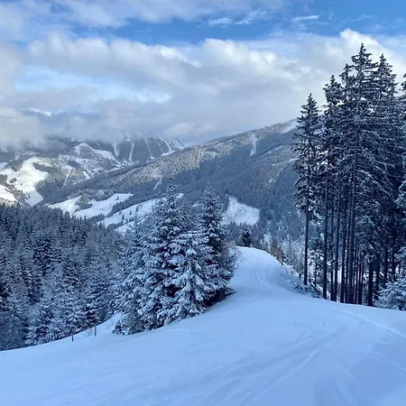 Daniela 10 アパート