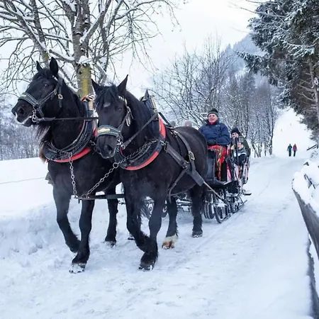 Daniela 10 Apartman *