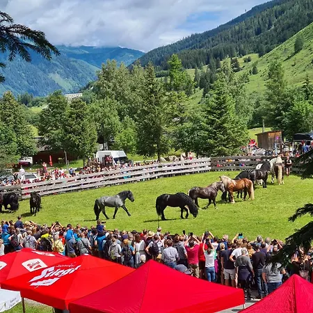 Daniela 10 ラウリス