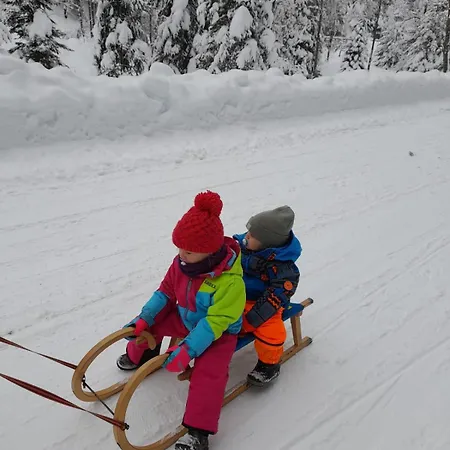 Daniela 10 Apartamento Rauris